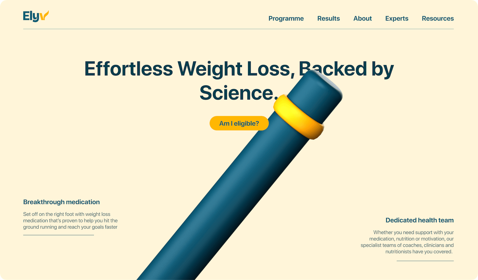Portfolio Website